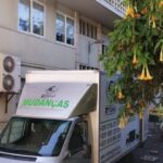 serviço de mudanças zviroboy