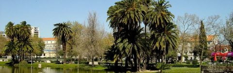 MUDANÇAS CAMPO GRANDE